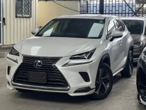 LEXUS NX-300
