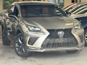 LEXUS NX300