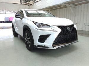 LEXUS NX300