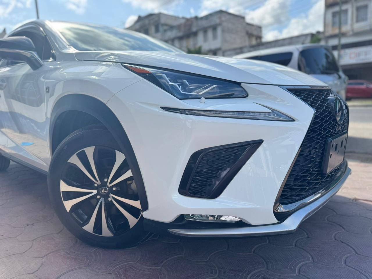 
								LEXUS NX300 full									