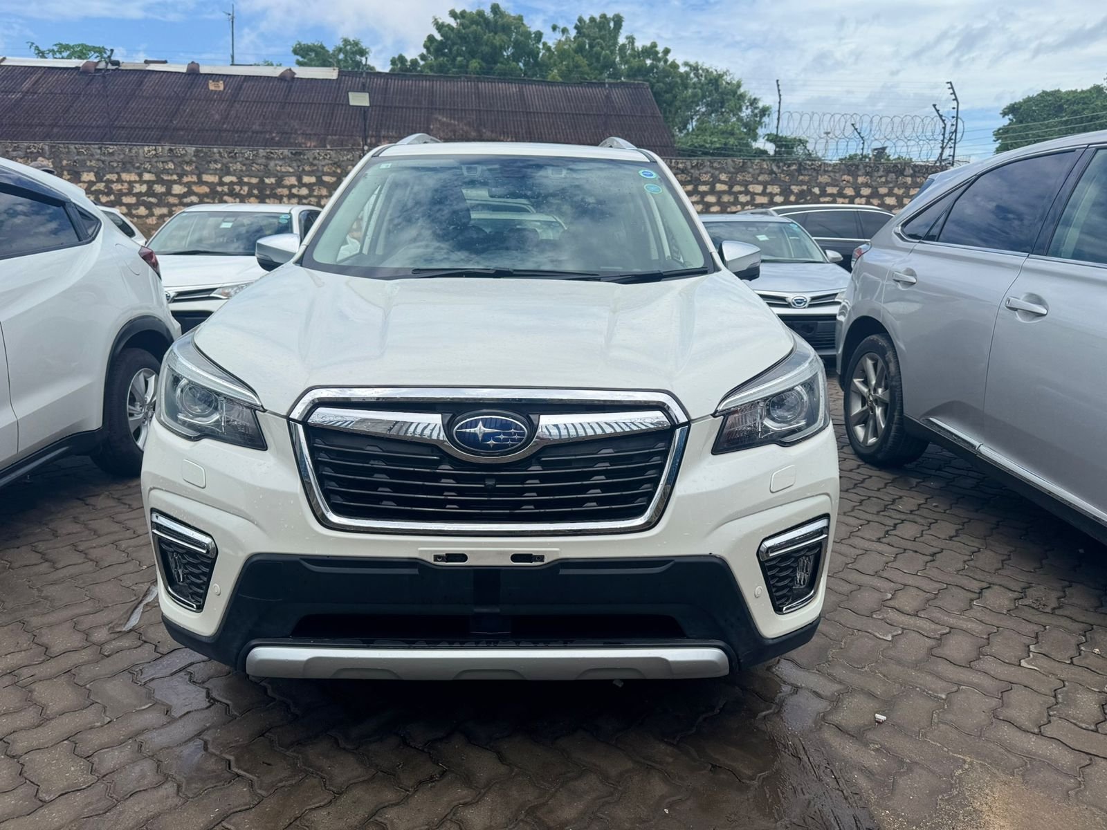 
								SUBARU FORESTER full									