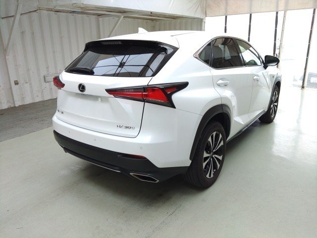 
								LEXUS NX300 full									