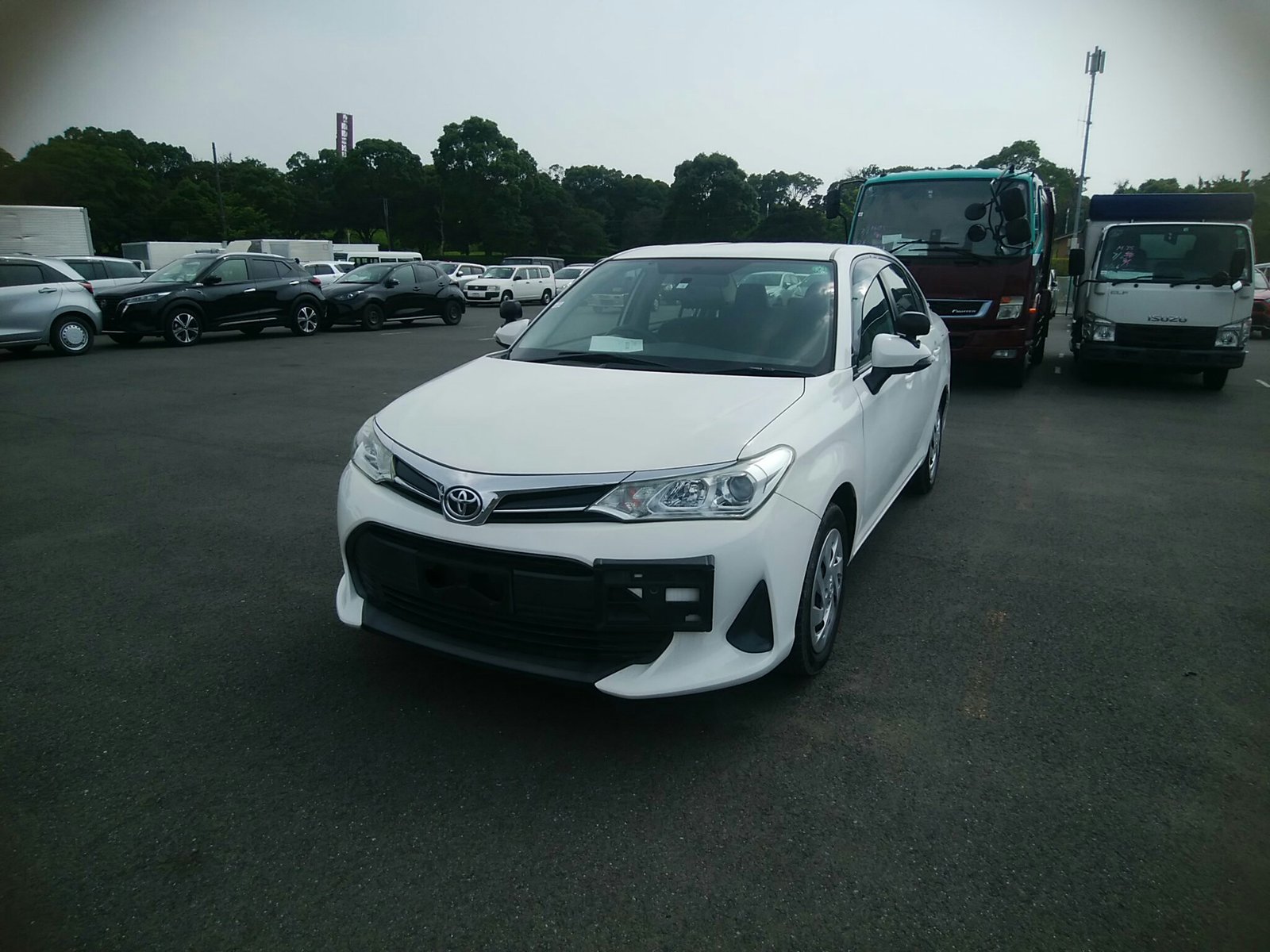 
								TOYOTA AXIO full									
