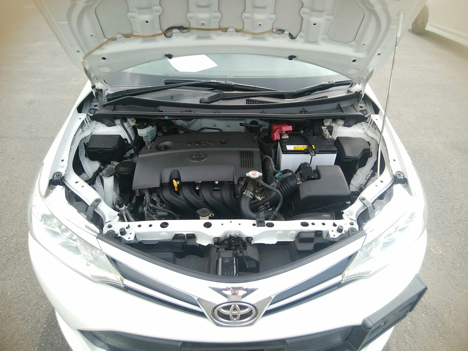 
								TOYOTA AXIO full									