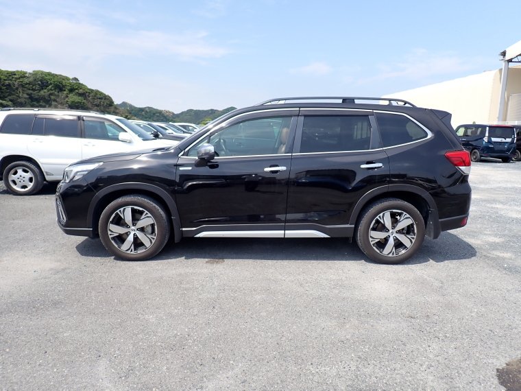 
								SUBARU FORESTER full									